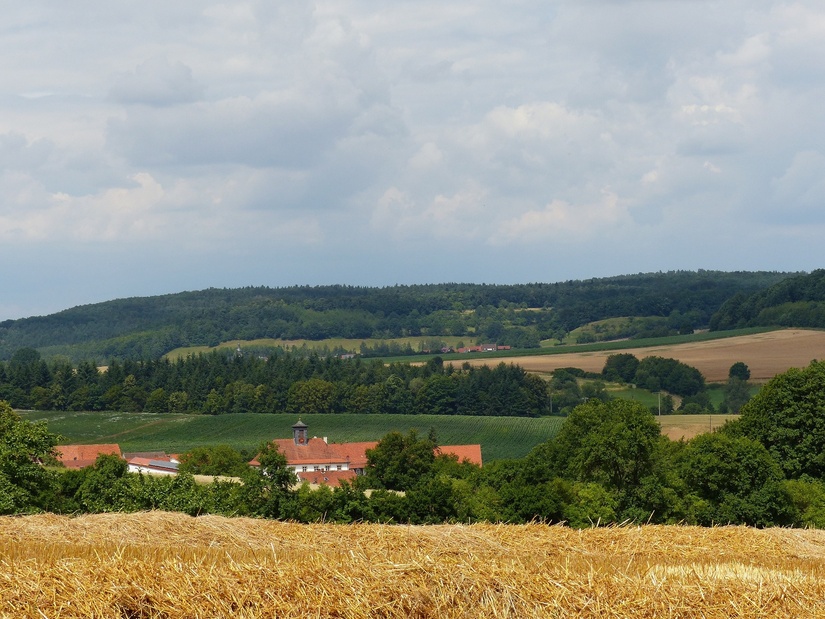 Sommer in den Haßbergen Sommer in den Haßbergen